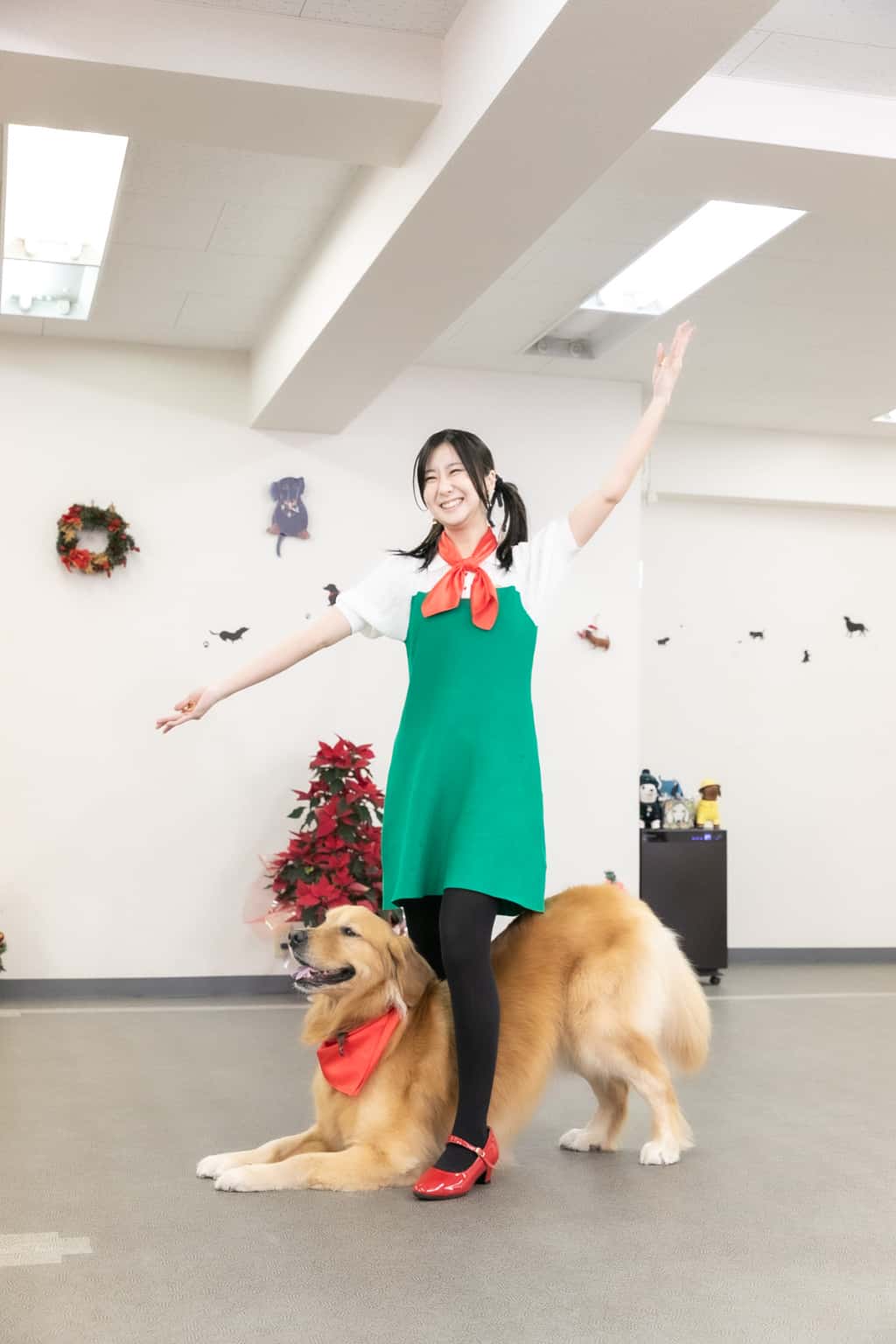 ドッグダンス画像