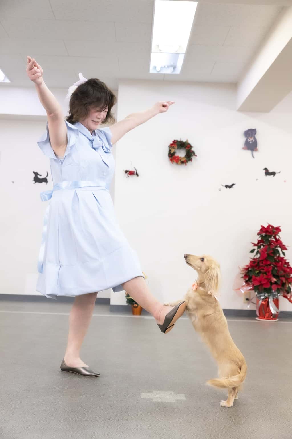 ドッグダンス画像