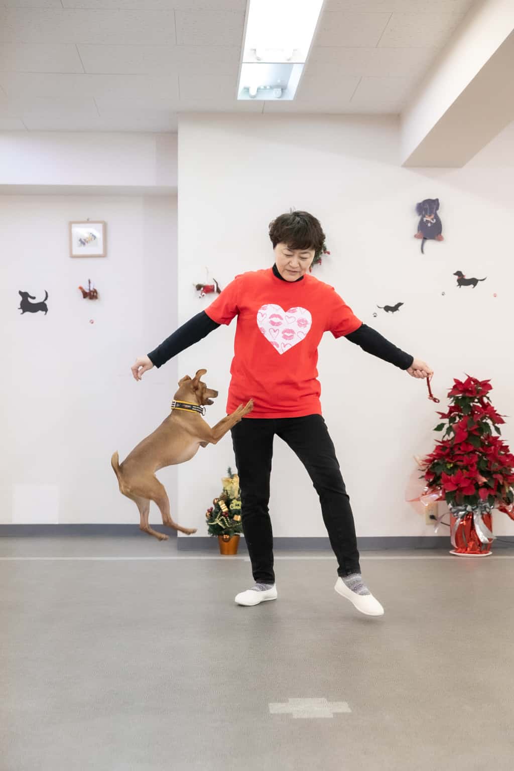 ドッグダンス画像