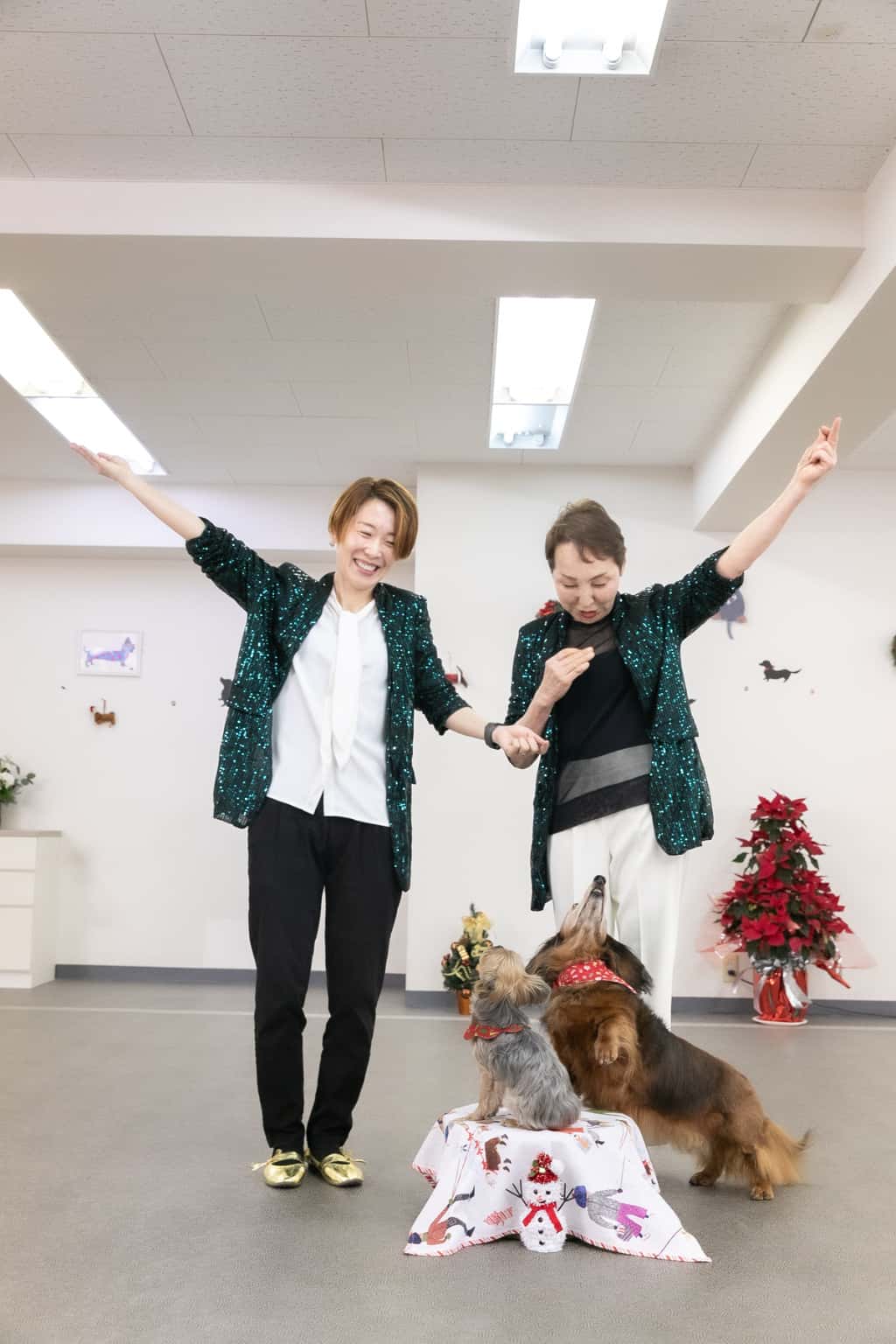 ドッグダンス画像